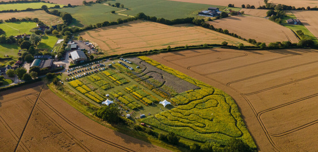 Unearthing Rural Potential for Businesses in Essex