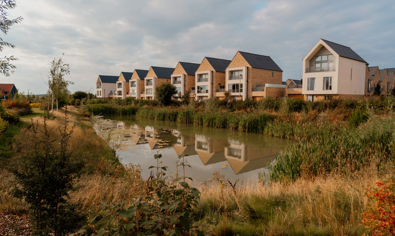 Small pond surrounded by plants and greenery with a row of new build houses overlooking the pond