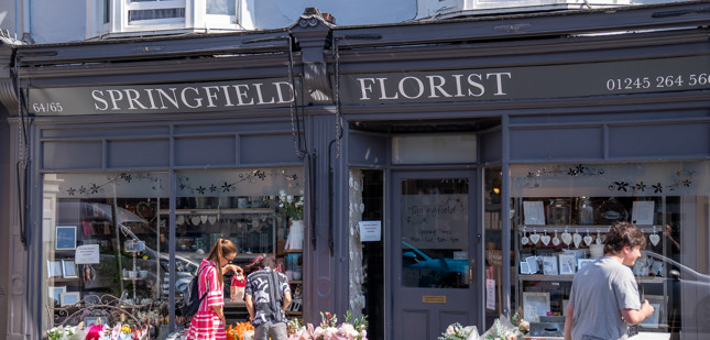 Celebrating Small Businesses in Chelmsford