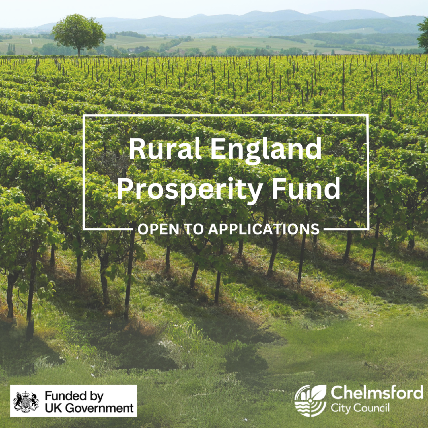 Rural England Prosperity Fund New Government Branding 2